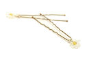 Crystal Flower Hair Pins (Pair) - £7
